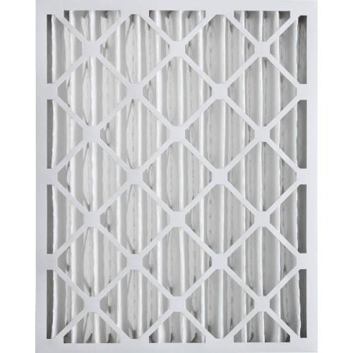 Nordic Pure 20 in. x 25 in. x 4 in. Allergen Pleated Furnace Air Filter MERV 12 (2-Pack)