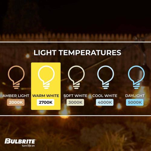Outdoor/Indoor 14 ft. Plug-in S14 Incandescent Black String Light with Clear Bulbs Included 10 Sockets (1-Pack)