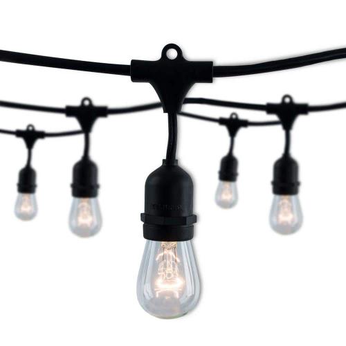 Outdoor/Indoor 14 ft. Plug-in S14 Incandescent Black String Light with Clear Bulbs Included 10 Sockets (1-Pack)