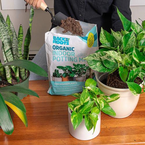 6 Quart Organic Indoor Potting Mix (2-Pack)