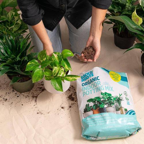6 Quart Organic Indoor Potting Mix (2-Pack)