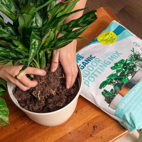 6 Quart Organic Indoor Potting Mix (2-Pack)