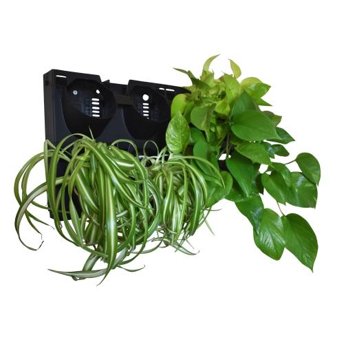 Living Walls Direct Wall Planter | Bustani 2x4 Vertical Garden | 8 Pot Living Wall Planter - Easy to Create Indoor Living Wall for Home/Office | Great Decor for Patios & Entryways | Made of Plastic