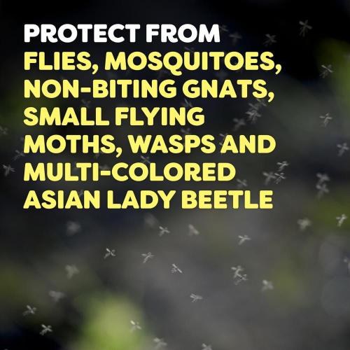 Outdoor Fogger 2 pack